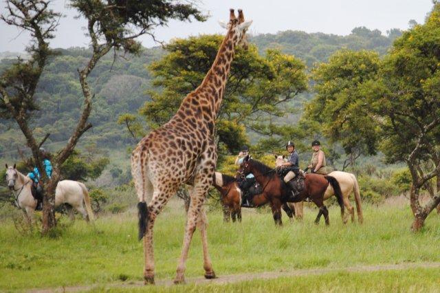 Is Uganda The Answer To All Your Tourism Needs?
