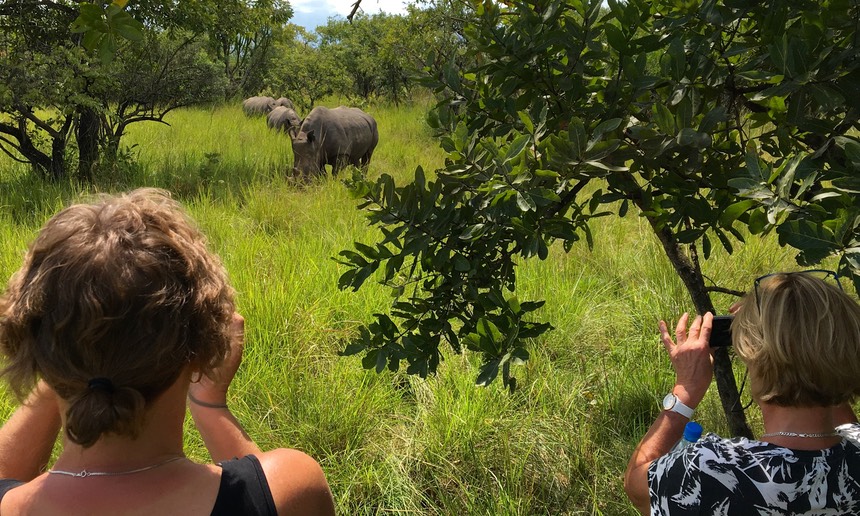 Rhino Tracking In Uganda – The Positive Side Of This Adventure