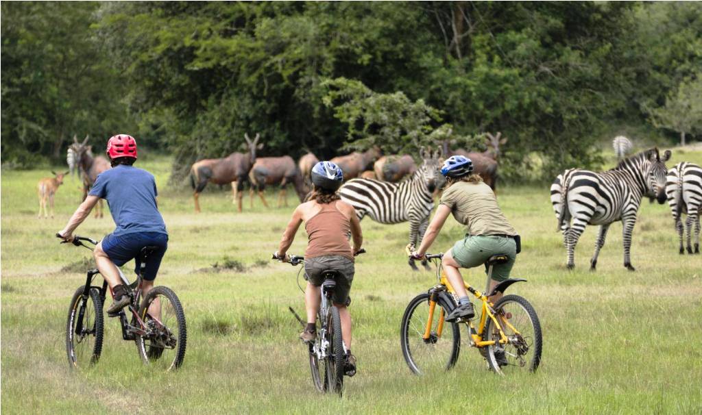 Best Travel Activities In Uganda