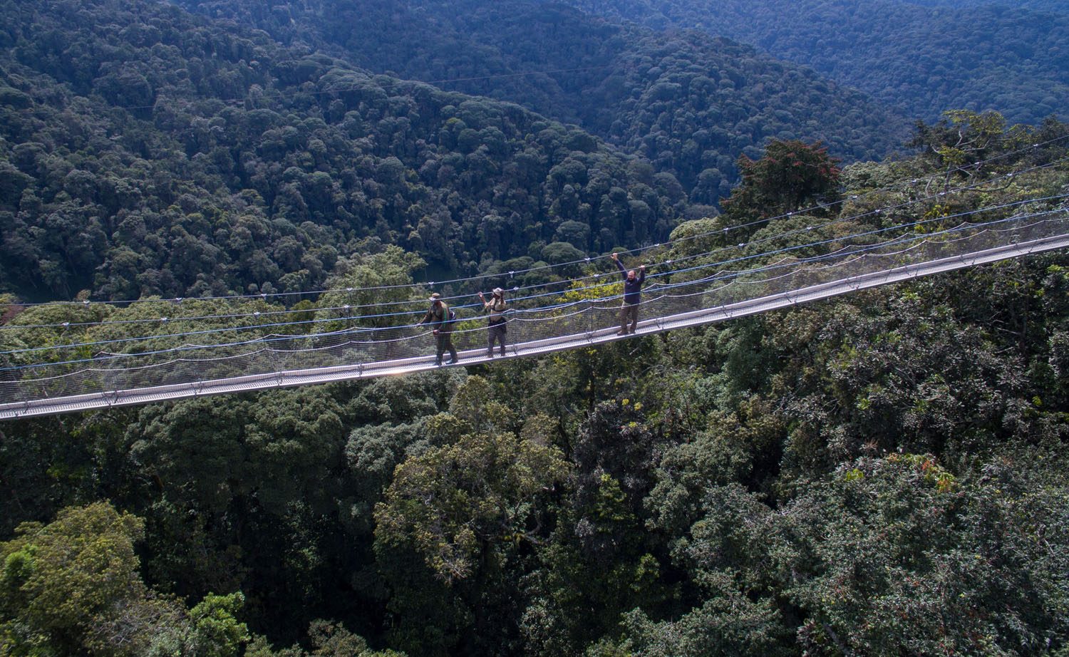 Guide To Nyungwe Forest National Park