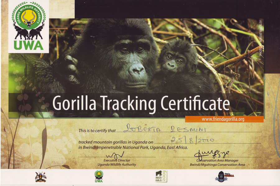Gorilla Trekking Certificates