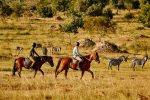 What to expect on safari to Lake Mburo National Park