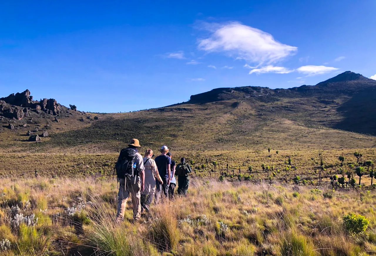 Feel at the top of the world on Mount Elgon