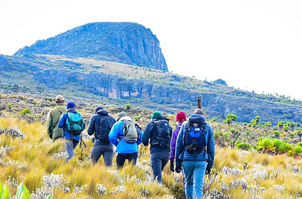 Feel at the top of the world on Mount Elgon
