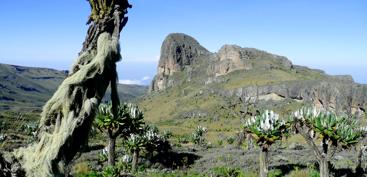 Feel at the top of the world on Mount Elgon