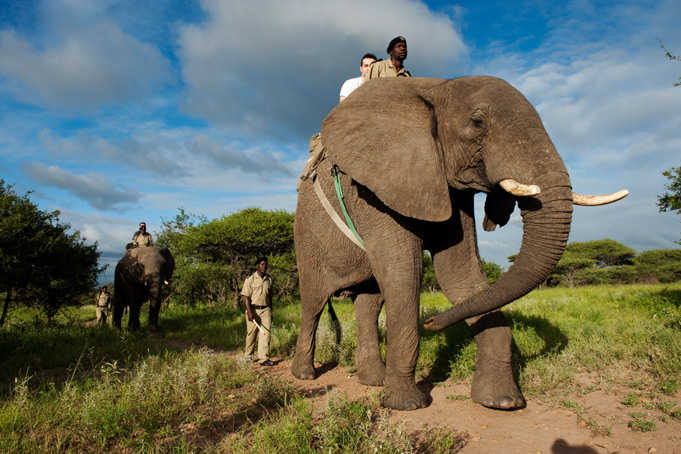 Uganda, The Paradise Away From Home