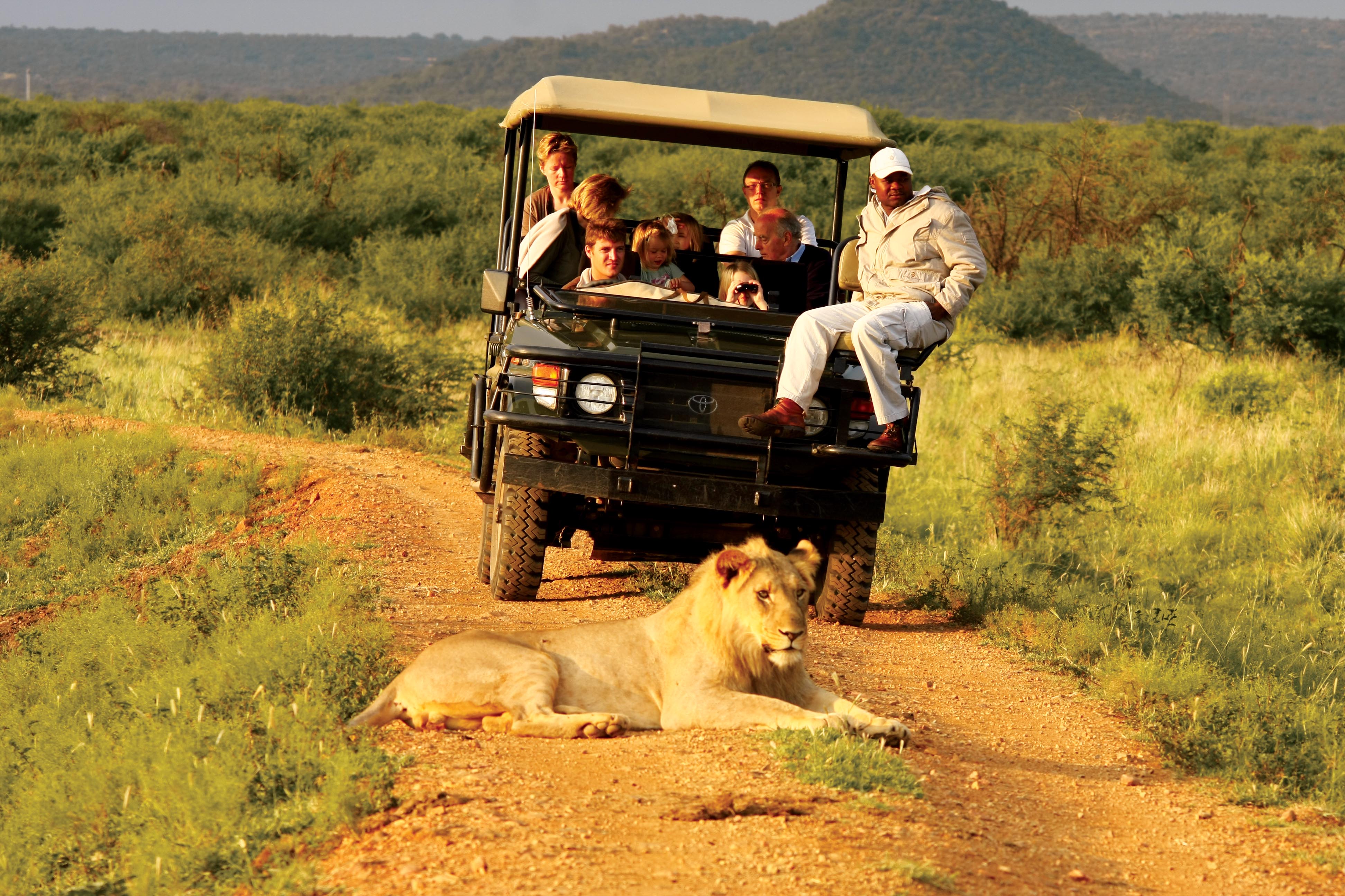 wildlife tourist locations