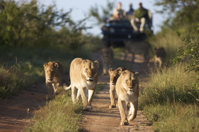 Why Uganda still ranks among the top 10 tourism destinations