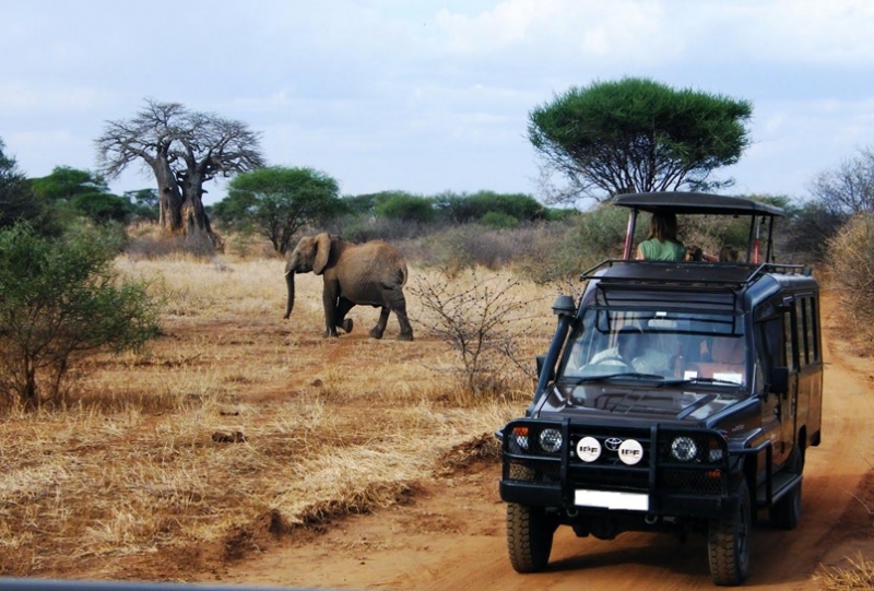 Uganda Tours After Elections – Uganda Safari News