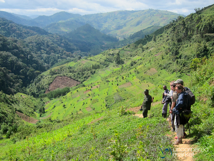 Explore Bwindi Without Trekking Mountain Gorillas