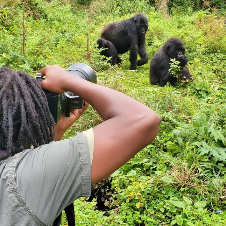 Budget Uganda Safaris - The Best Adventure Uganda Safaris