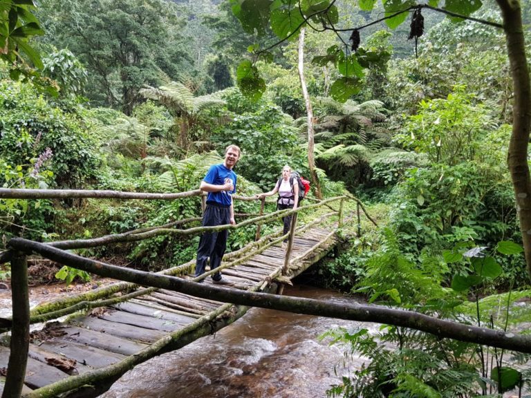 Bwindi Forest named among CNN’s top 23 places with best Hiking trails