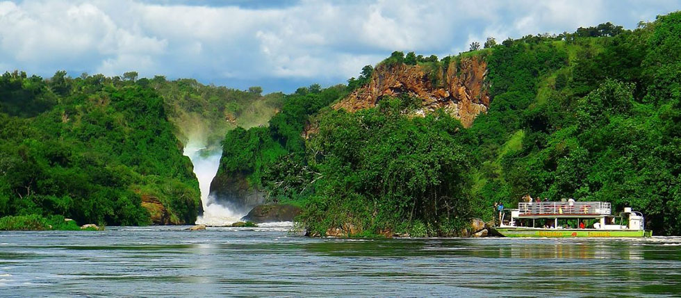 Wildlife In Murchison Falls National Park