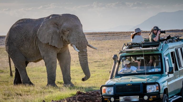 What To Expect During Uganda Safaris