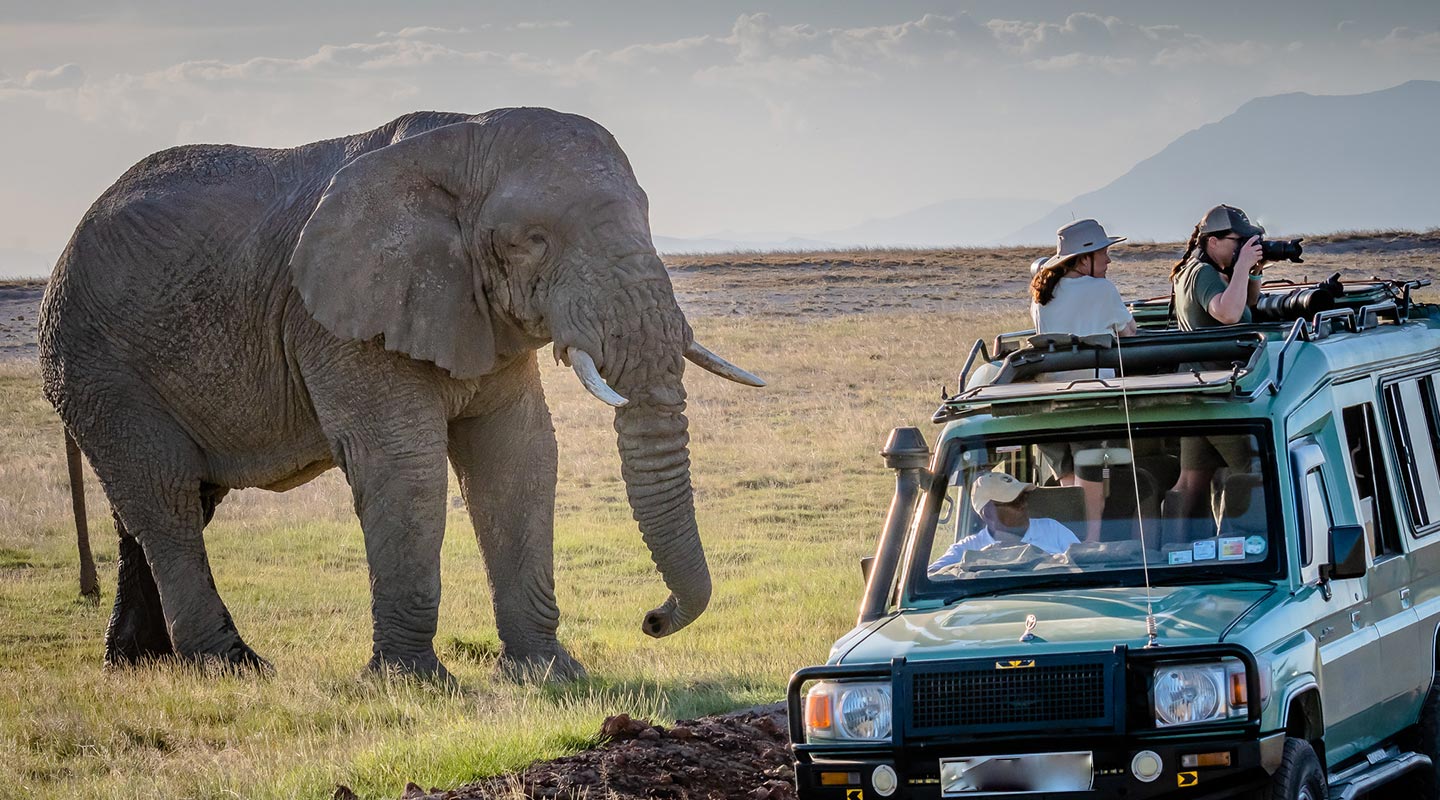 Uganda Safari