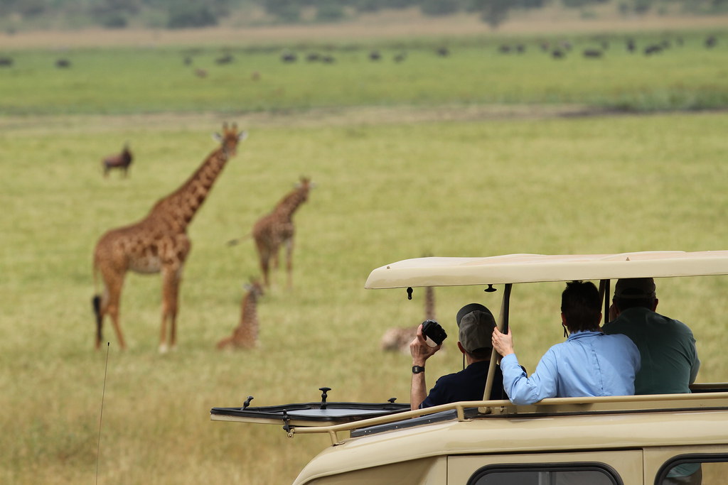 Wildlife Encounters In Uganda