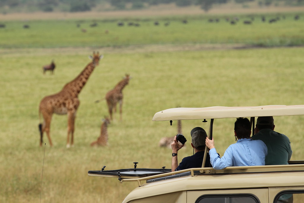 wildlife safaris in Uganda