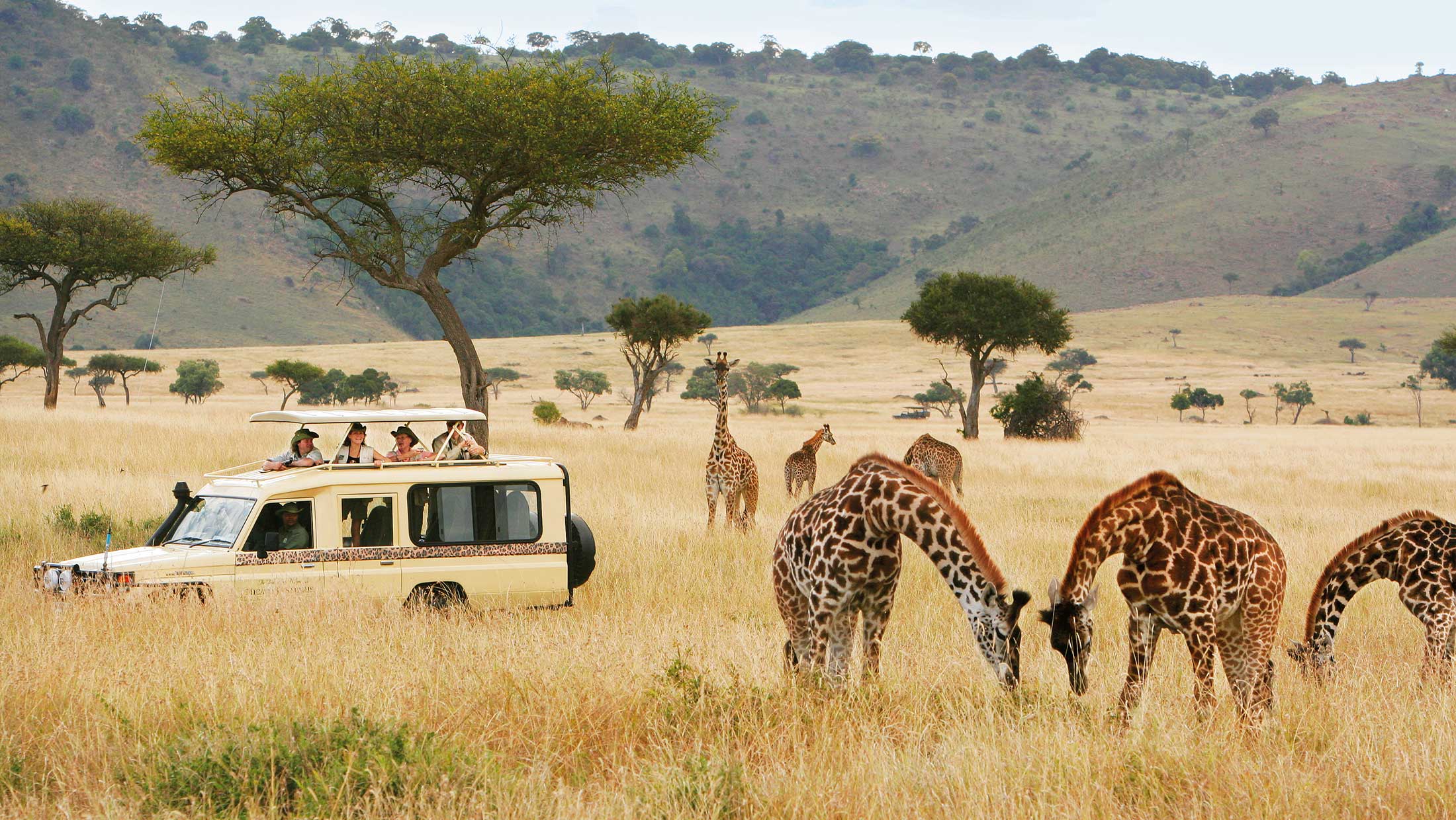 safari in afrika wo am besten