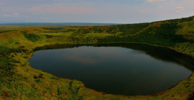 How to Book a Uganda Safari?