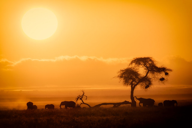 African-safari, Is it safe to visit Africa