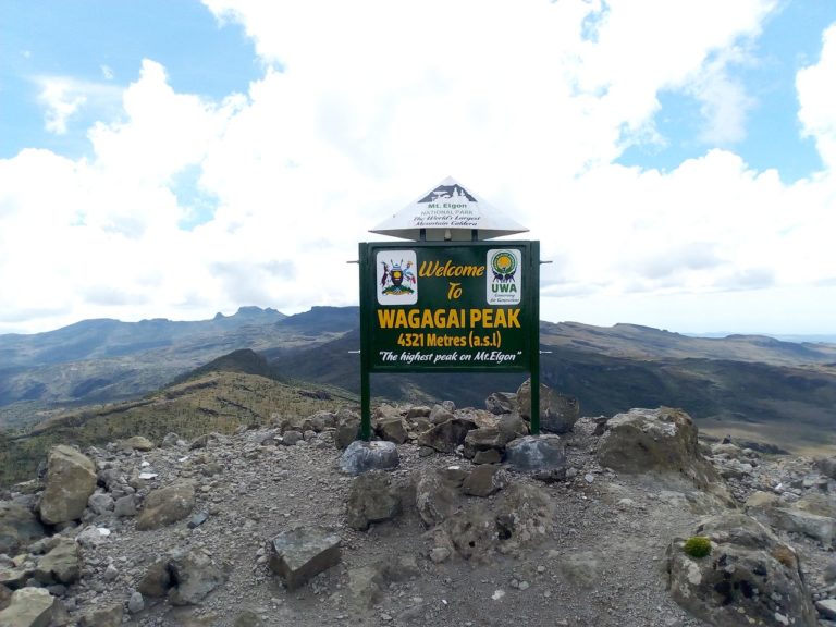 Mountain Climbing Tours