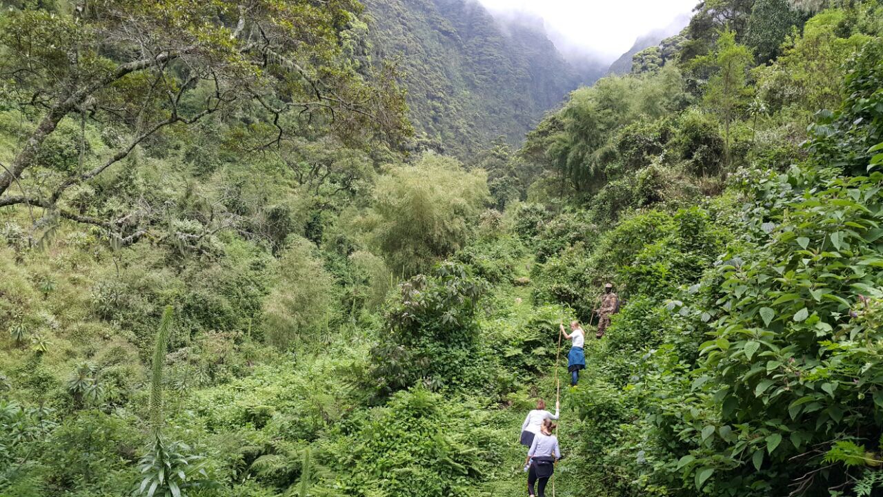 Sabinyo gorge walk, Hiking in Mgahinga Gorilla National Park