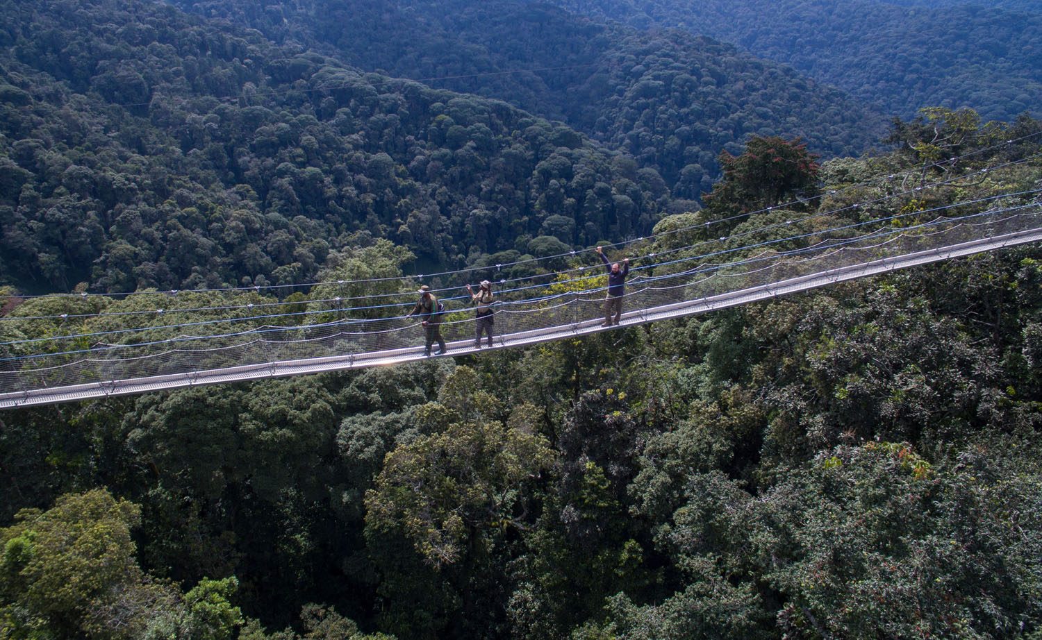 Nyungwe National Park Rwanda