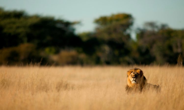 Experiential Tourism In Queen Elizabeth National Park