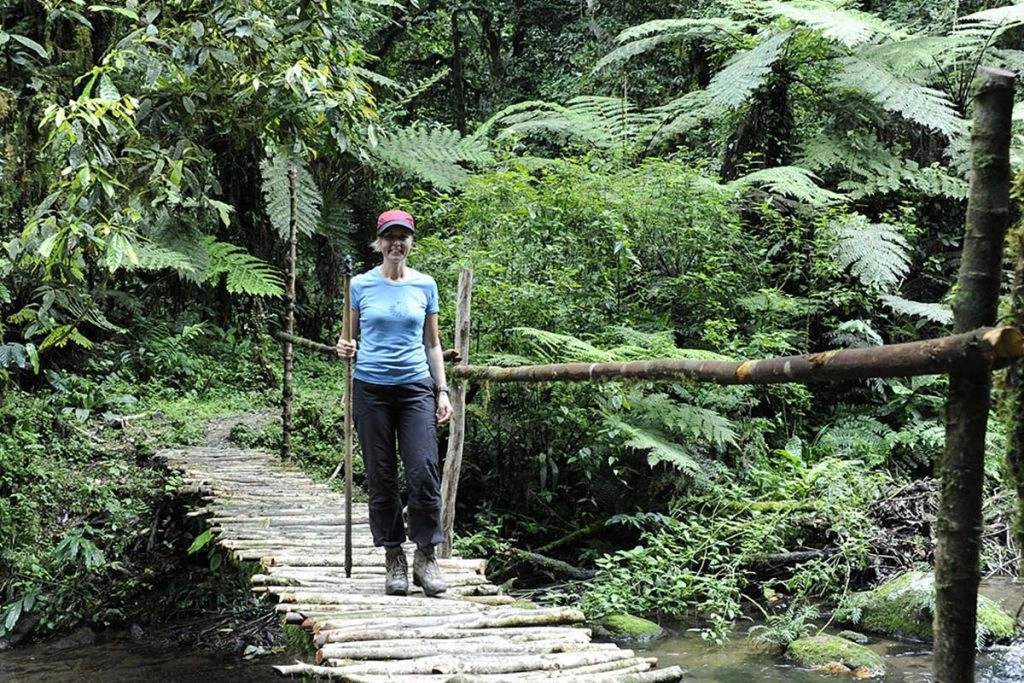 Hiking Trails in Buhoma Region