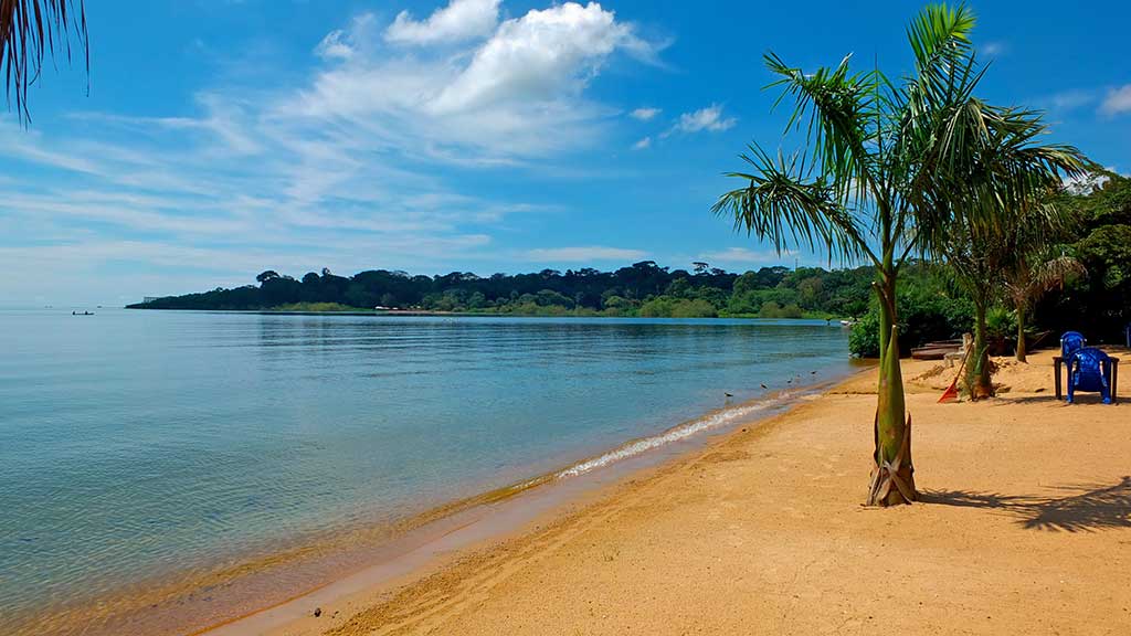 Things To Do in Entebbe