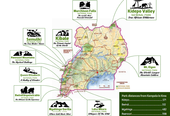 Travel Information in Uganda: Trip Updates -Everything to know