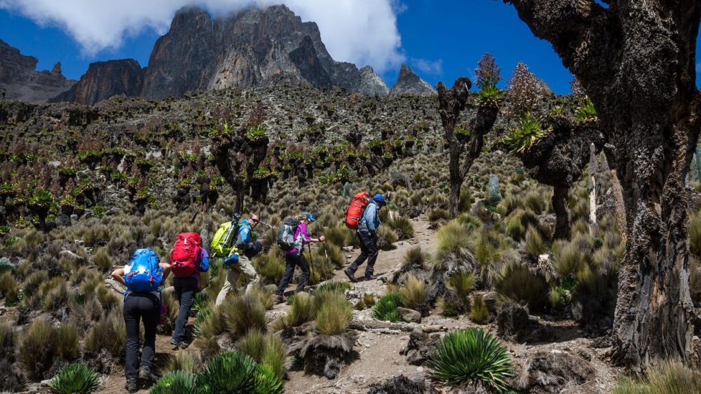 4 Days Mount Elgon Hiking Safari