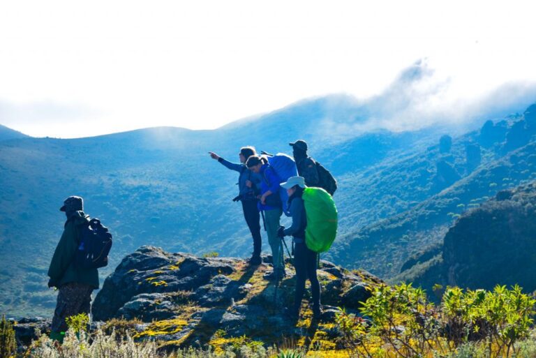 Mountain Hiking Safaris in Uganda