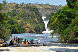 Searching for the best wildlife safaris in Uganda? Book our top 11 Uganda wildlife safaris including the Big 5 game, gorilla safaris, chimps 