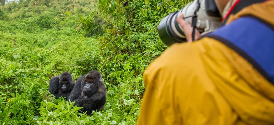 What to do on a Uganda Safari Holiday?