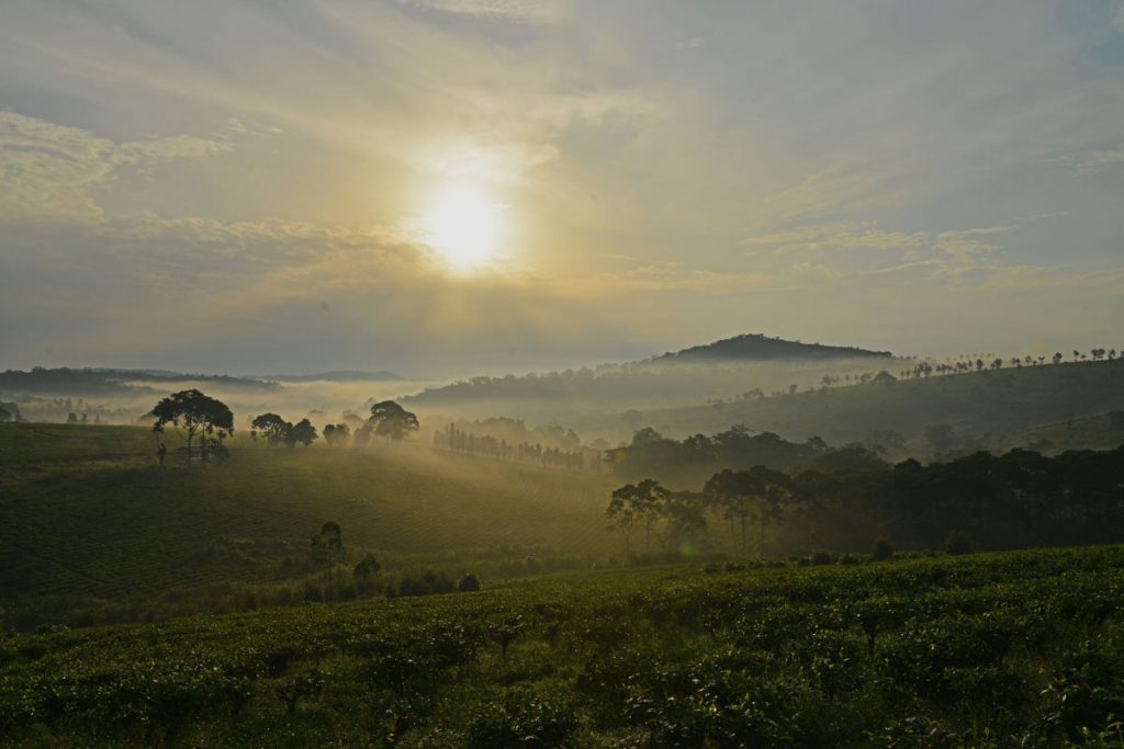 The Weather and Climate of Uganda