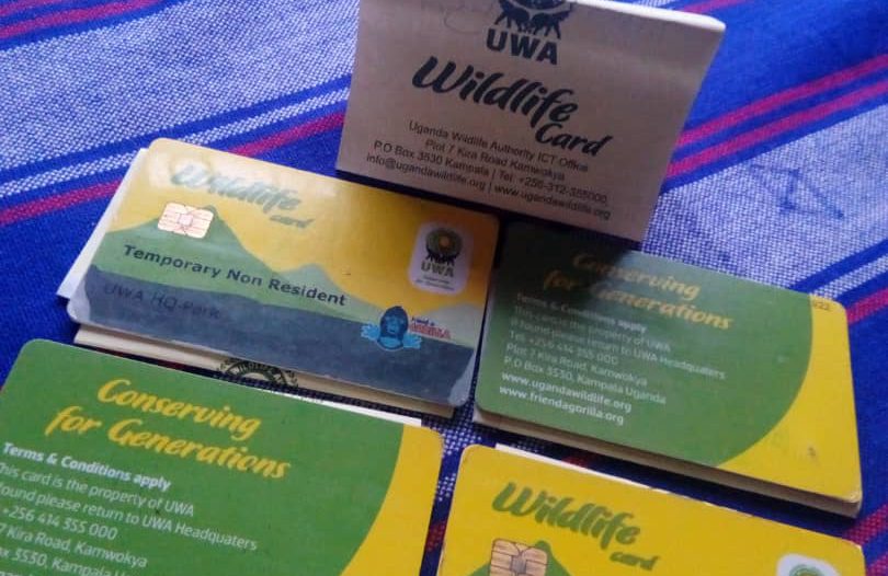 What Is a Gorilla Permit and Why Is It Mandatory?