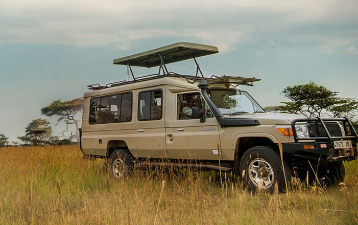 Advantages of Using Roof Rack Vehicles