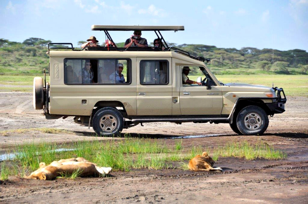 Self‑Drive vs Car Hire with Driver in Uganda