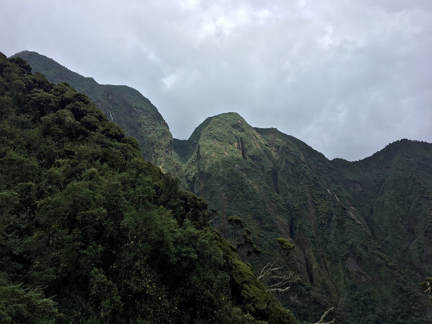 Volcano climbing in Mgahinga Gorilla Park