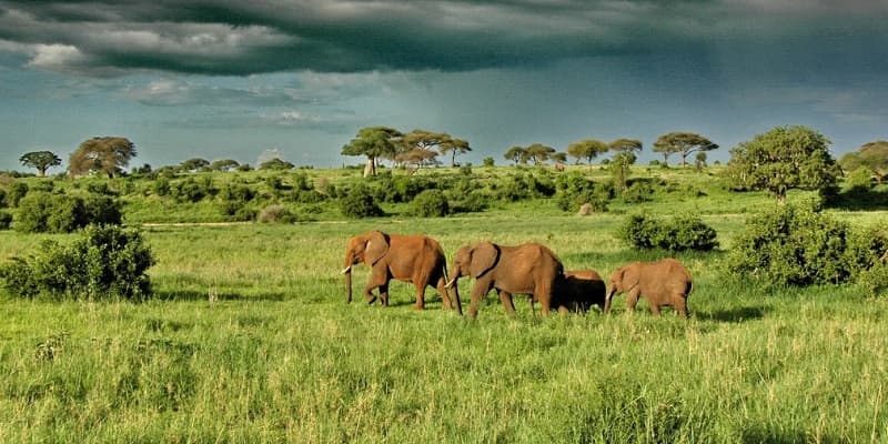 10 Reasons to visit Uganda
