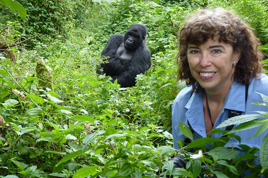 Gorilla Safari in Uganda