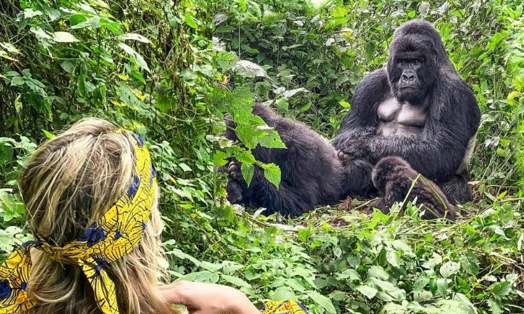Uganda Safaris from Kigali