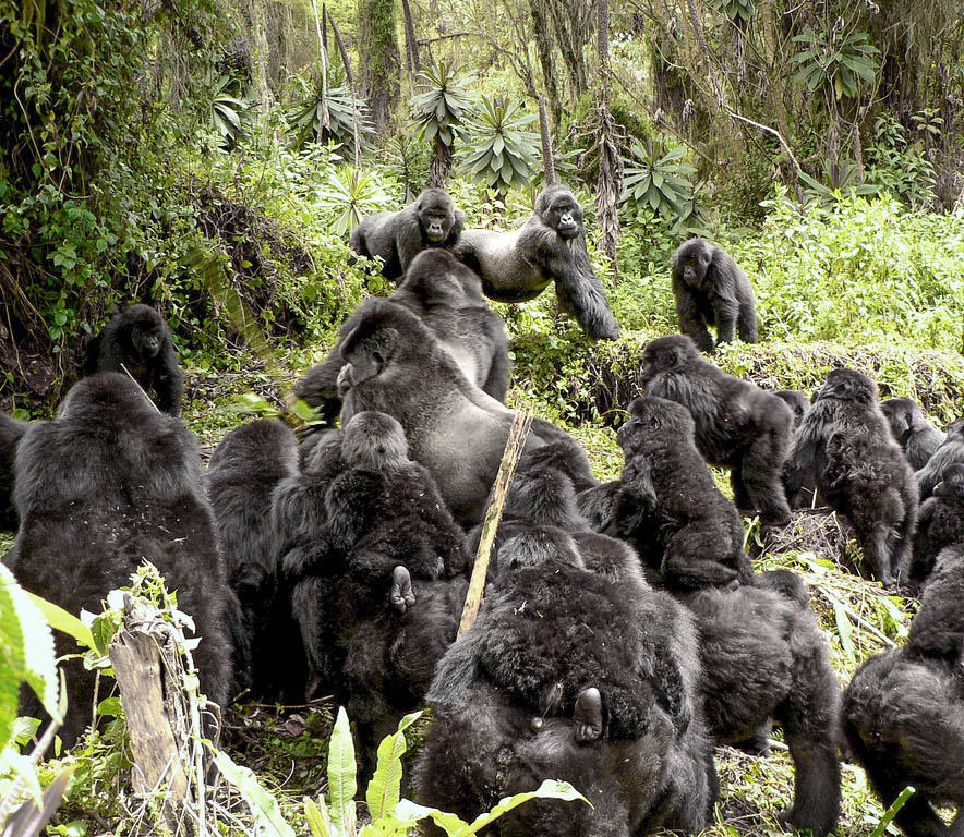 5 Best Adventure Experiences to Do in Uganda