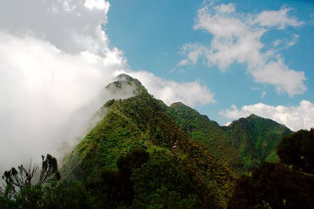 Virunga Mountains