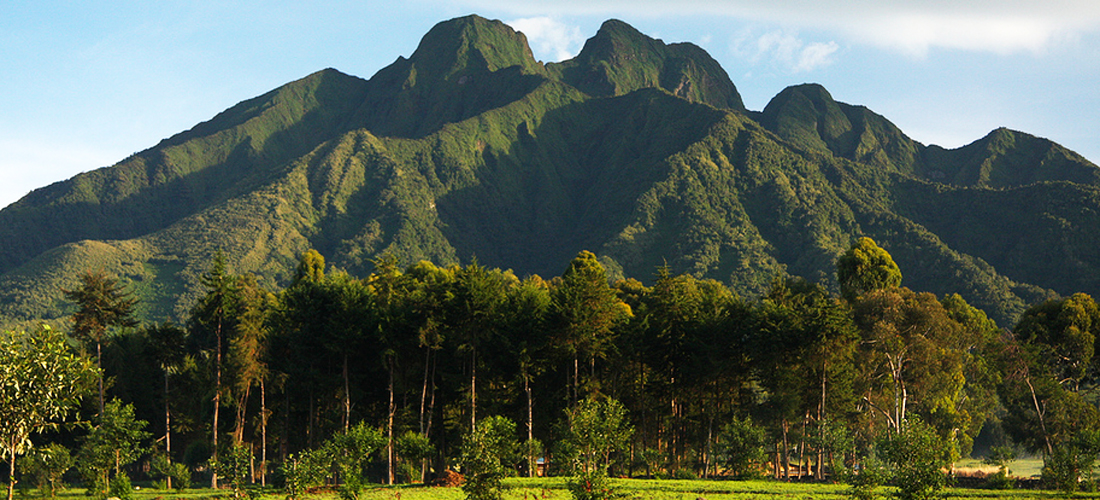 Virunga Mountains