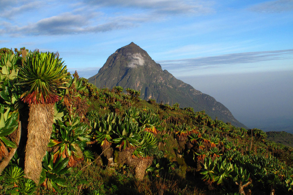 Virunga Mountains