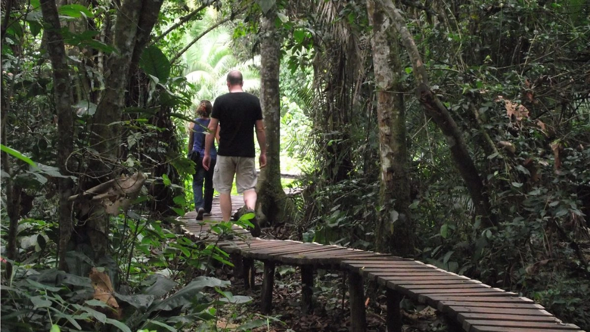 Kibale Forest National Park
