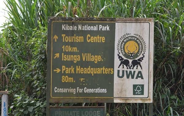 Kibale Forest National Park