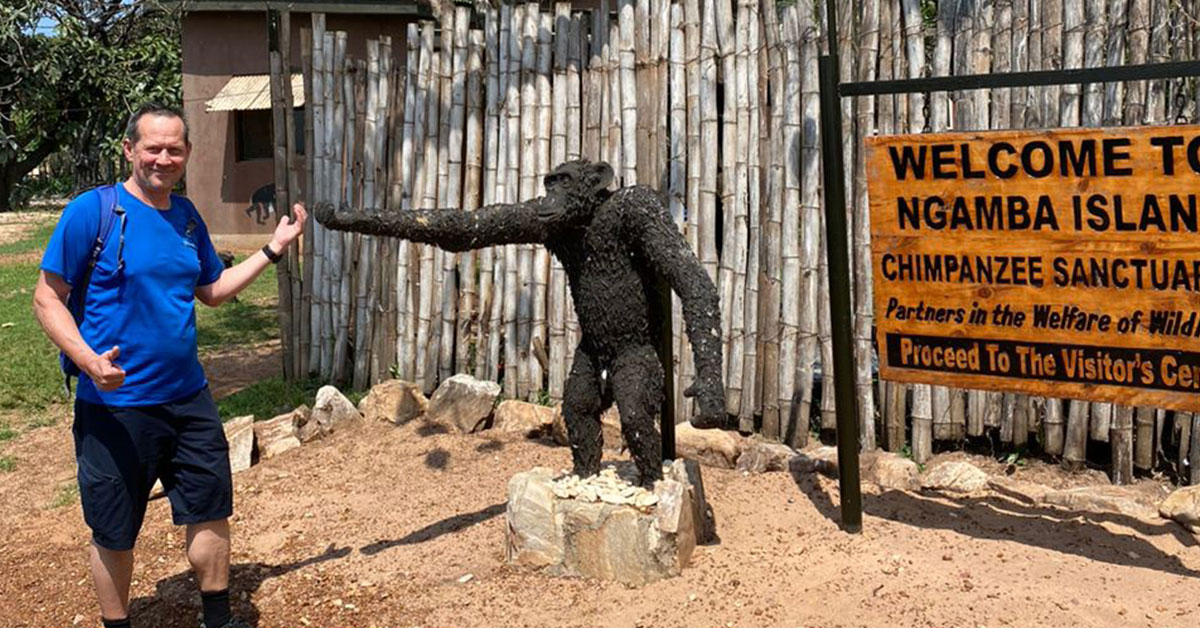 1 Day Ngamba Island Chimp Sanctuary Tour